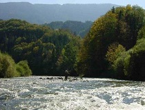 Fliegenfischen Biohof Breitenberg