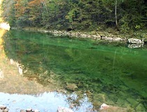 Fliegenfischen Biohof Breitenberg