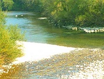 Fliegenfischen Biohof Breitenberg