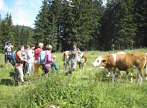 Frieslingalm wandern