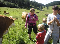 Frieslingalm wandern